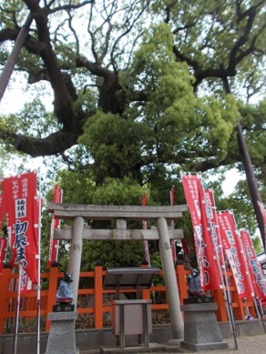 �Z�g��ЁE��N�ЁE���