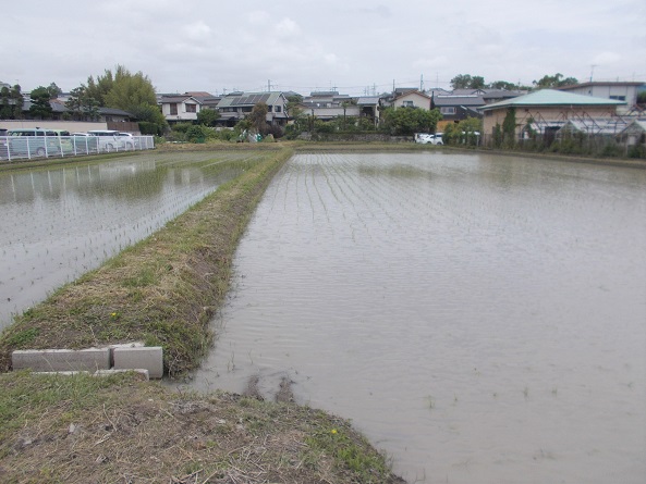 �������E���c