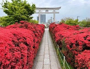 �������E�����V�_����c�c�W