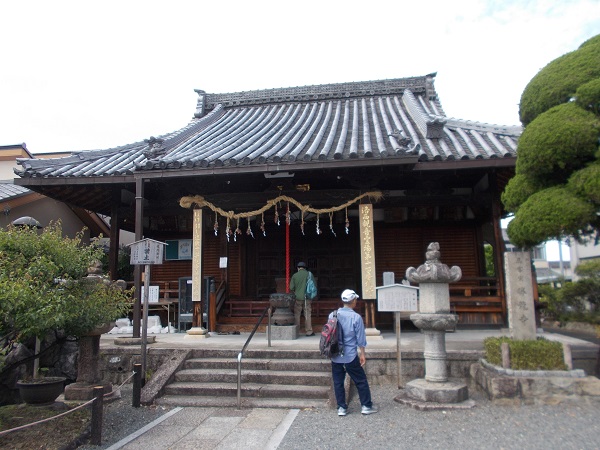 �������E������