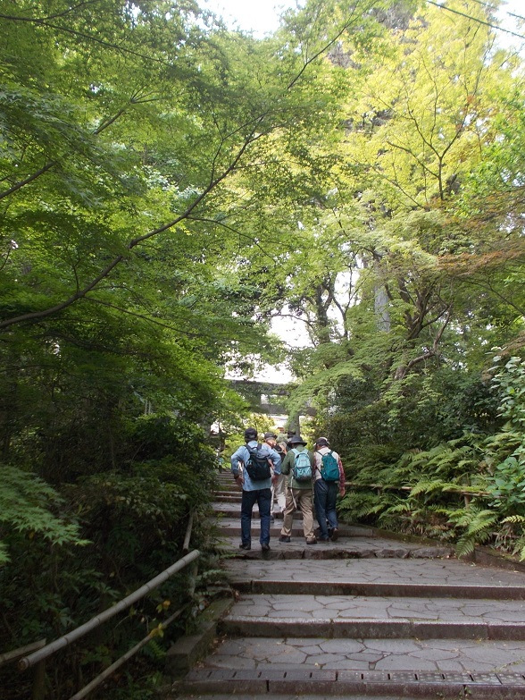 �������E�g�t