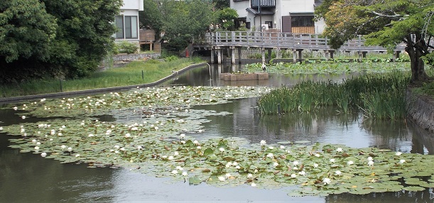 �������E�����V���{�E�������r�E���㋴�E���΍g�@