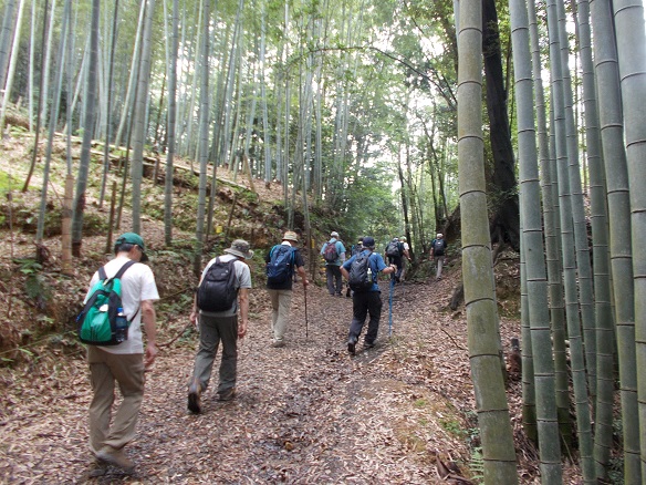 ���R�Ó��E�|��