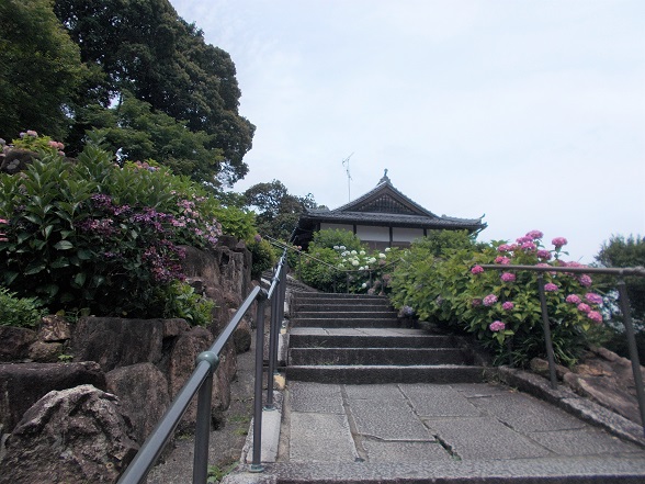 ���R�Ó��E�k�J������ɓ���