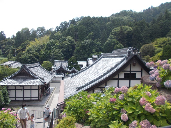 ���R�Ó��E�k�J���S�i