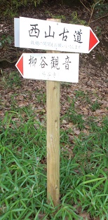 ���R�Ó�����