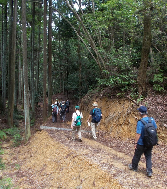 ���R�Ó�����