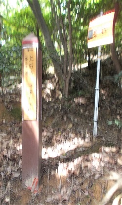 ���R�Ó��E���W