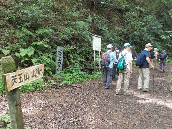 ���R�Ó��E���q�_�Иe�V���R�o�R��