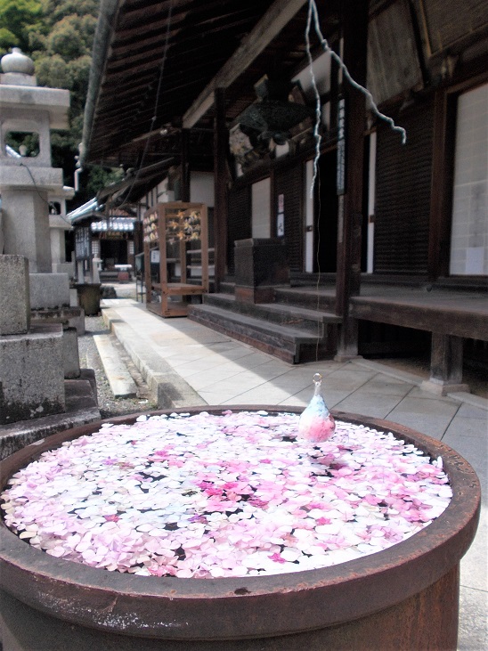 ���R�Ó��E�k�J���E�Ԏ萅