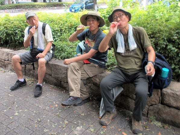 ���s�R�ȁE���N�g�R�Ȍ����E�`���[�y�b�g