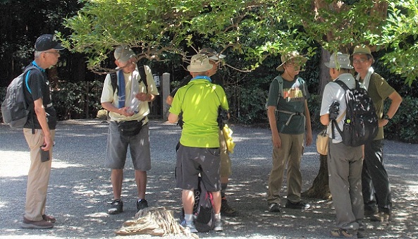 ���s�R�ȁE�V�q�V�c��