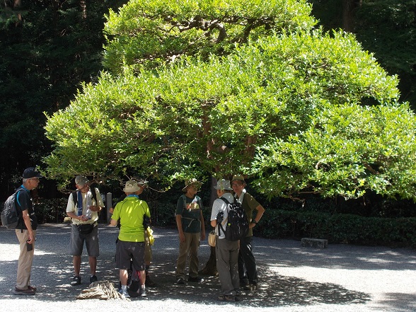 ���s�R�ȁE�V�q�V�c��