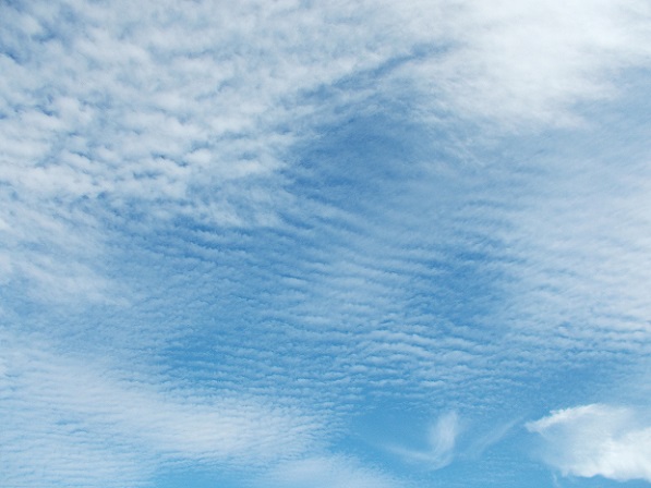 �����n�C�L���O�E�ܐF�ˌÕ�