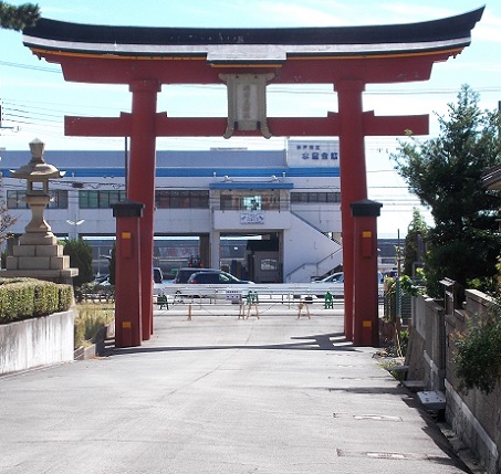 �����n�C�L���O�E�C�_�ЁE��̒���