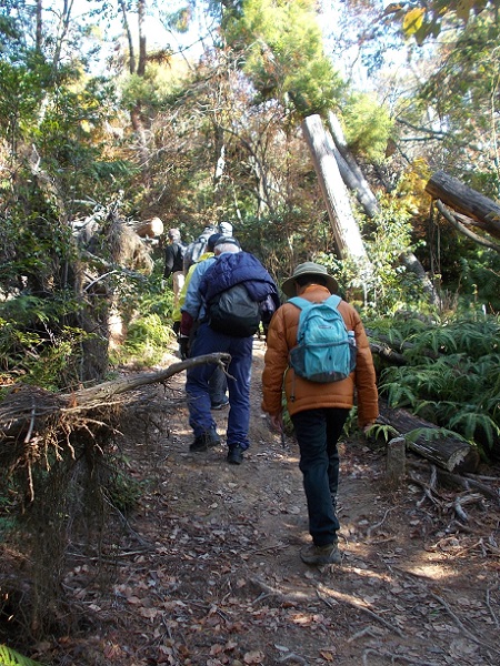 ���s�E�啶���R