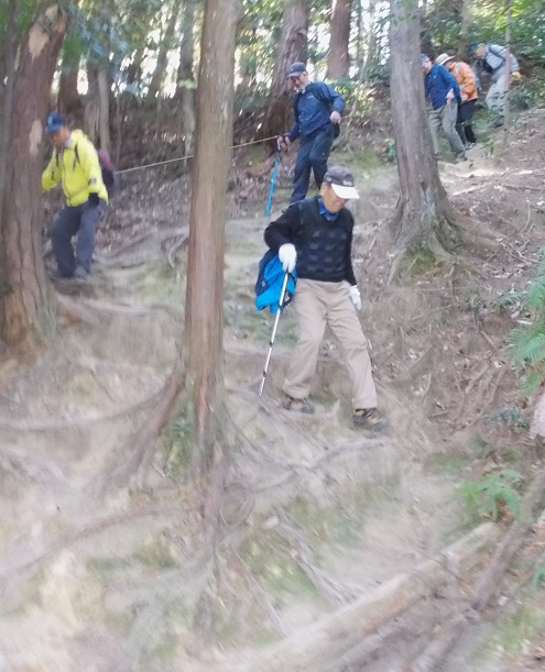 ���s�E�啶���R