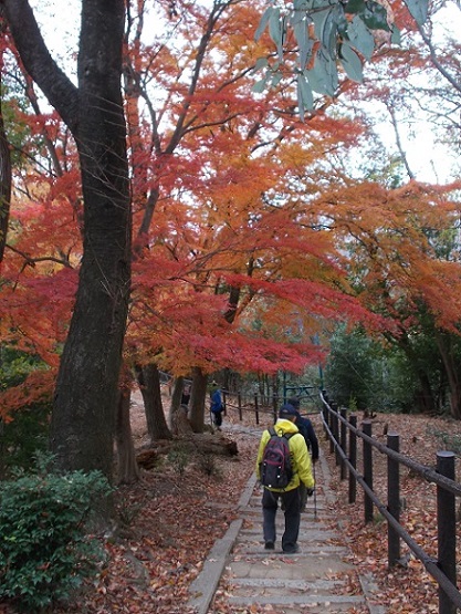 ���s�E�啶���R