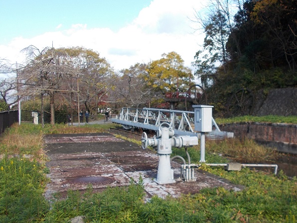 ���s�E�啶���R�R��C���N���C��