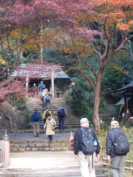 ���s�E�啶���R�E������_�{