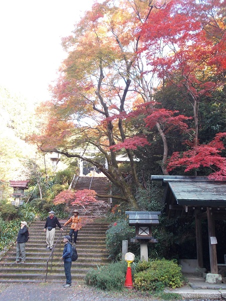 ���s�E�啶���R�E������_�{