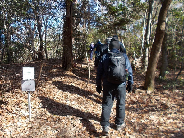 ���ʎR�[�U��