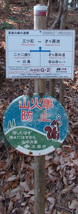 ���ʎR�[�U��