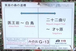 ���ʎR�[�U��