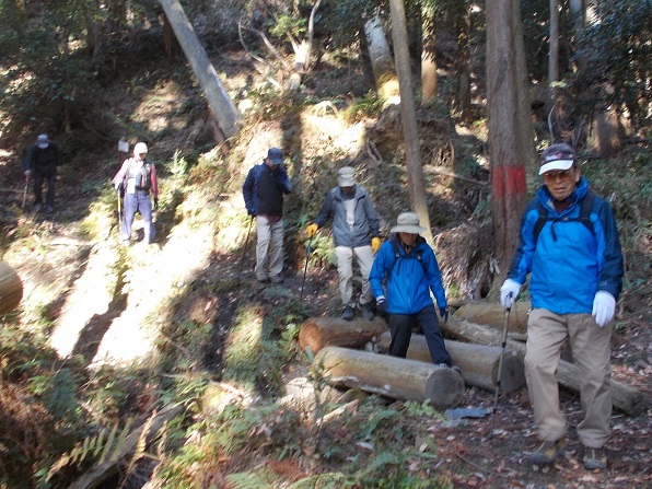 ���ʎR�[�U��