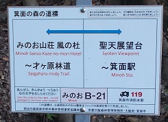 ���ʎR�[�U��