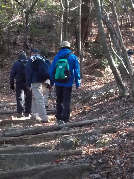 ���ʎR�[�U��