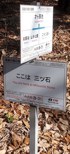 ���ʎR�[�U��