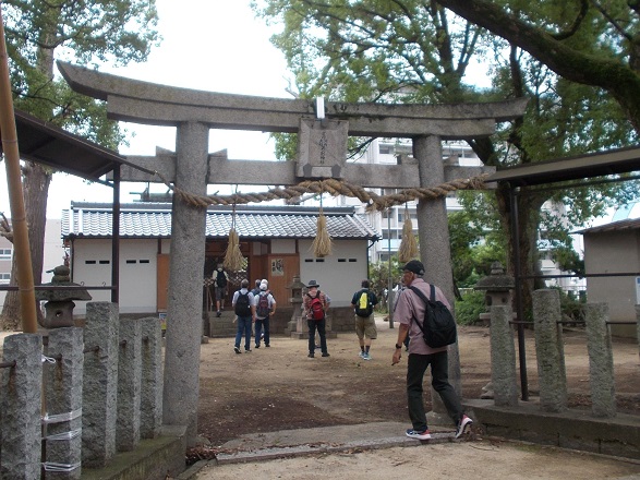 �����E�|��_��