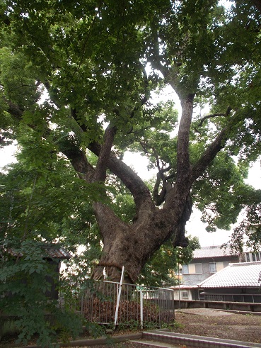 �����E�a��_�ЁE���