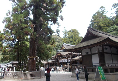 �R�̕ӂ̓��E��_�_��