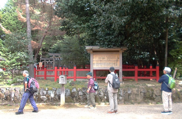 �R�̕ӂ̓��E�O���_��