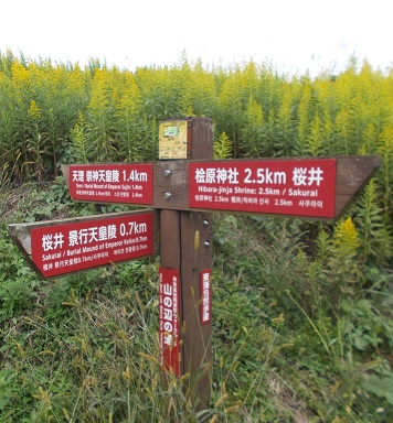 �R�̕ӂ̓��E�ē���