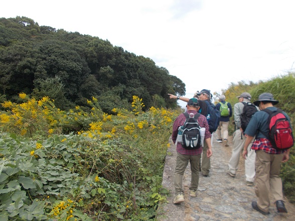 �R�̕ӂ̓��E�i�s�V�c��