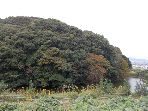 �R�̕ӂ̓��E���_�V�c��