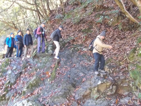 �ےË��E�������