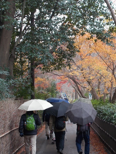 �ےË��E���R�E�|��_�E�g�t