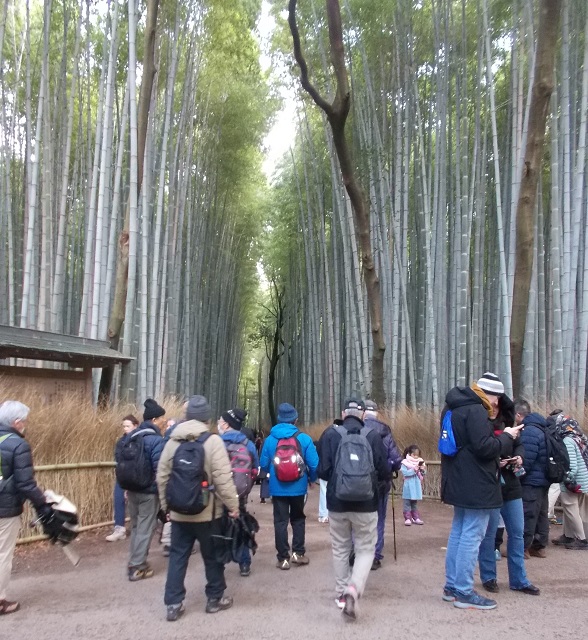 �ےË��E�|�т̏��a