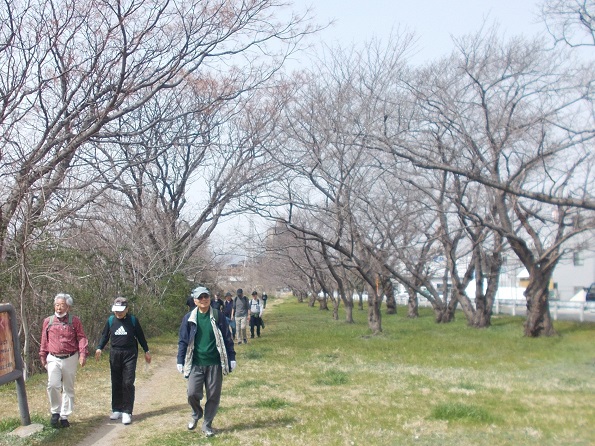 武庫川川沿い下り・武庫川左岸
