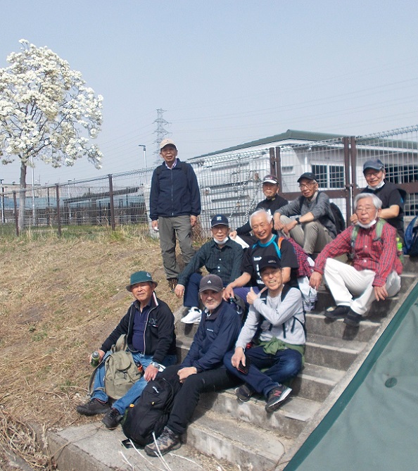 武庫川川沿い下り・武庫川左岸・モクレン