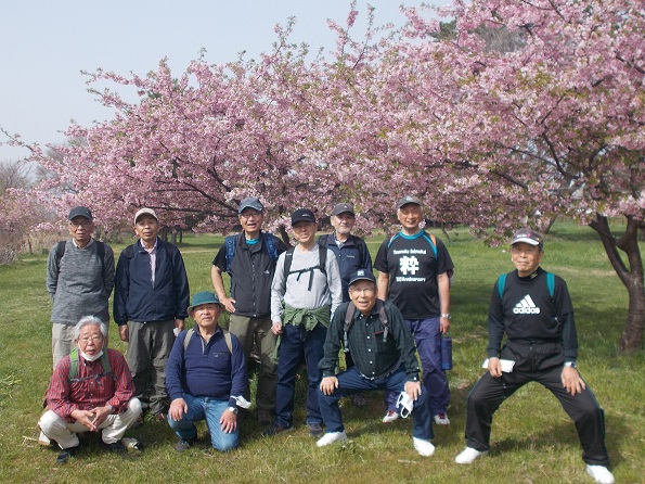 武庫川川沿い下り・武庫川左岸・桜