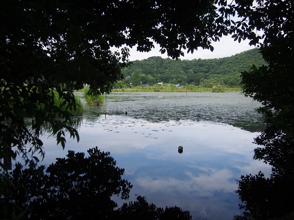 京都下鴨&上賀茂神社・深泥池