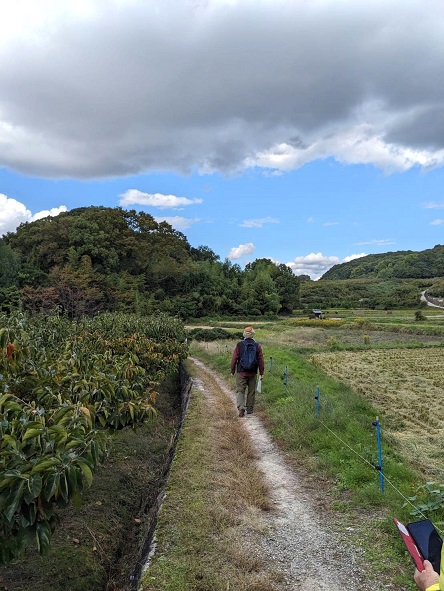山の辺の道・田んぼ道
