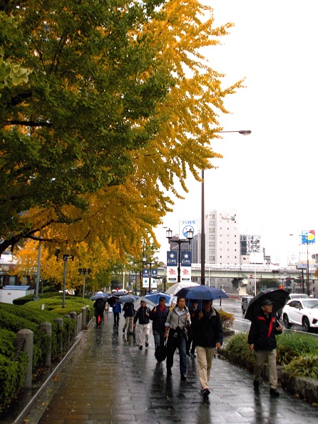 御堂筋ウォーク・御堂筋・イチョウ