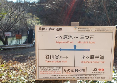 箕面山麓ハイキング・B29