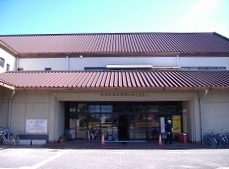 �H�g��s�˓�̐X������